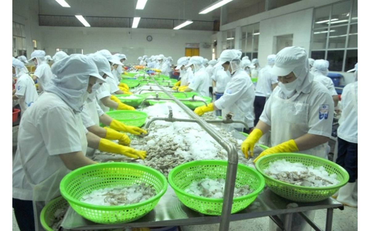 T&ocirc;m Việt Nam đang dẫn đầu thị phần tại Canada